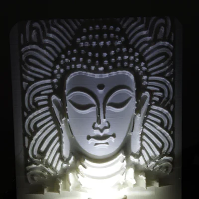 Licensing & Partnerships